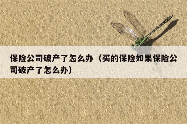 保险公司破产了怎么办（买的保险如果保险公司破产了怎么办）