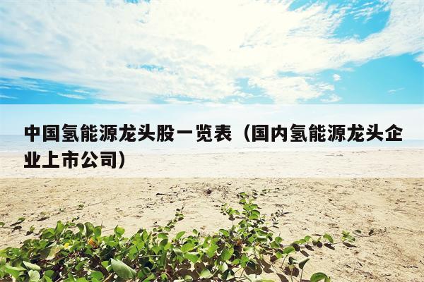 中国氢能源龙头股一览表（国内氢能源龙头企业上市公司）