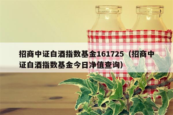 招商中证白酒指数基金161725（招商中证白酒指数基金今日净值查询）