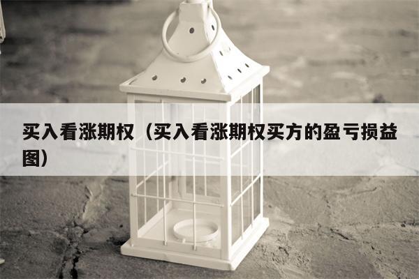 买入看涨期权（买入看涨期权买方的盈亏损益图）