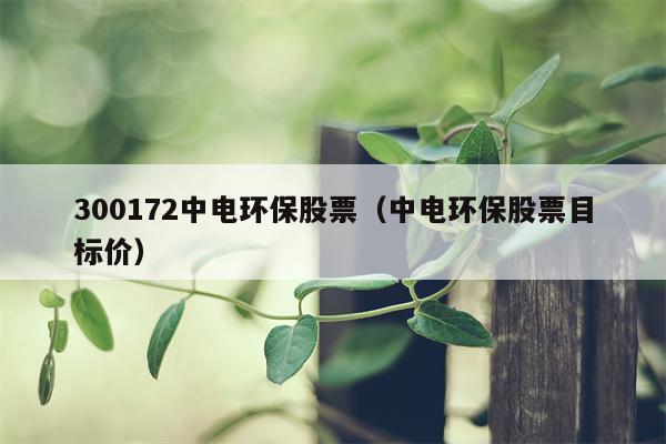 300172中电环保股票（中电环保股票目标价）