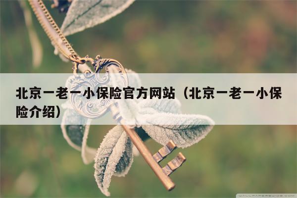 北京一老一小保险官方网站（北京一老一小保险介绍）
