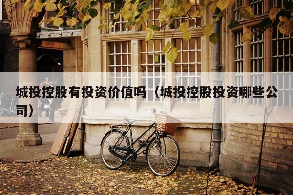 城投控股有投资价值吗（城投控股投资哪些公司）
