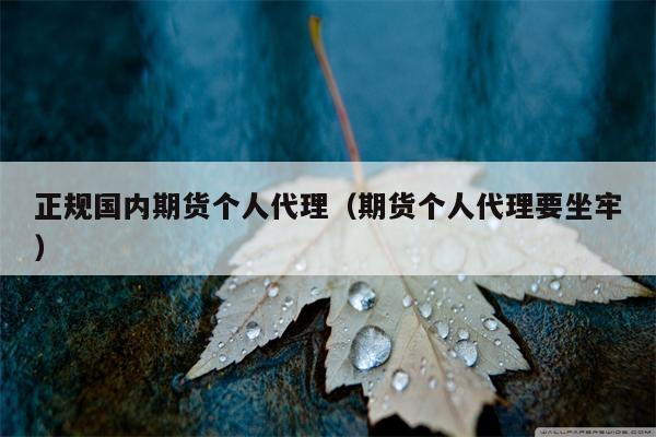 正规国内期货个人代理（期货个人代理要坐牢）