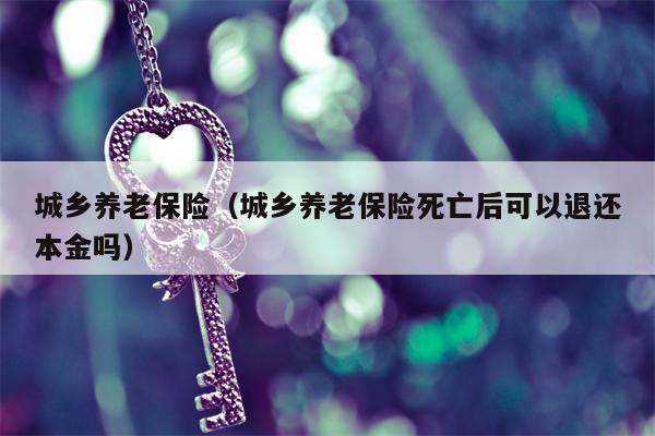 城乡养老保险（城乡养老保险死亡后可以退还本金吗）