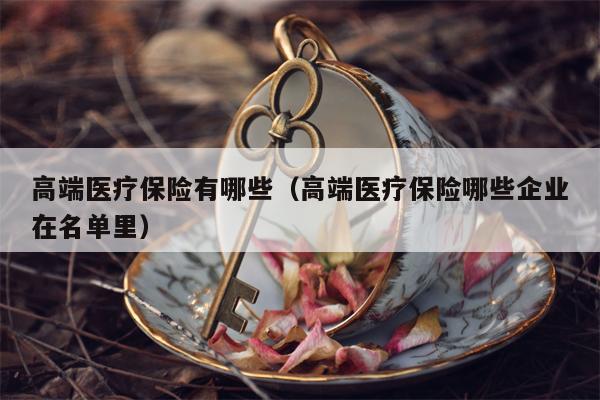 高端医疗保险有哪些（高端医疗保险哪些企业在名单里）