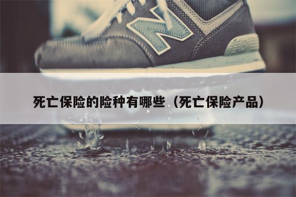 死亡保险的险种有哪些（死亡保险产品）