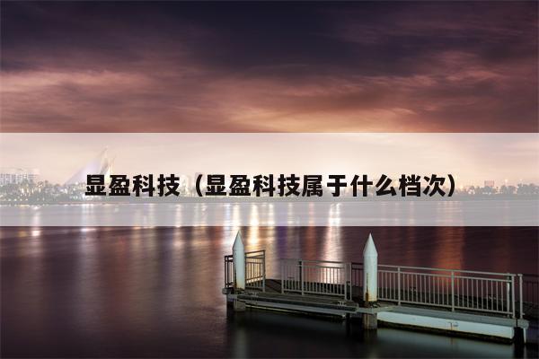 显盈科技（显盈科技属于什么档次）