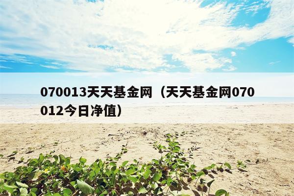 070013天天基金网（天天基金网070012今日净值）