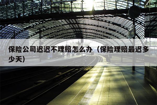 保险公司迟迟不理赔怎么办（保险理赔最迟多少天）
