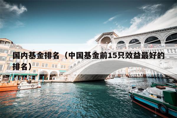 国内基金排名（中国基金前15只效益最好的排名）
