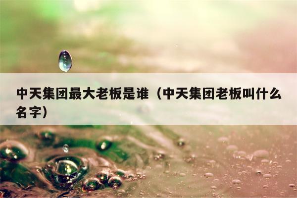 中天集团最大老板是谁（中天集团老板叫什么名字）