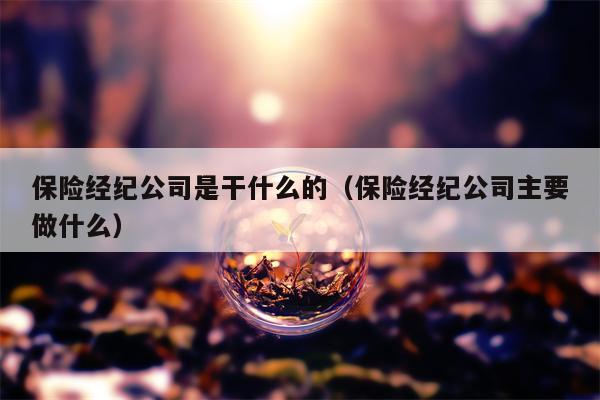 保险经纪公司是干什么的（保险经纪公司主要做什么）