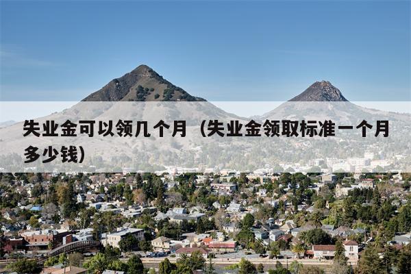 失业金可以领几个月（失业金领取标准一个月多少钱）