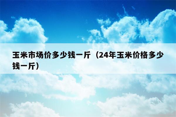 玉米市场价多少钱一斤（24年玉米价格多少钱一斤）
