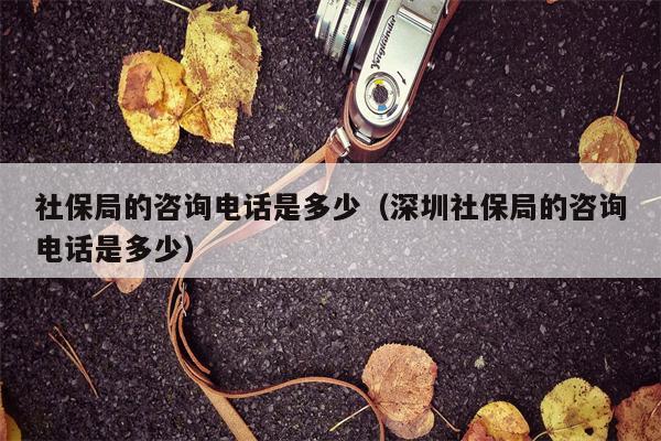 社保局的咨询电话是多少（深圳社保局的咨询电话是多少）