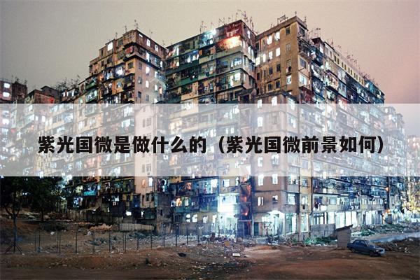 紫光国微是做什么的（紫光国微前景如何）