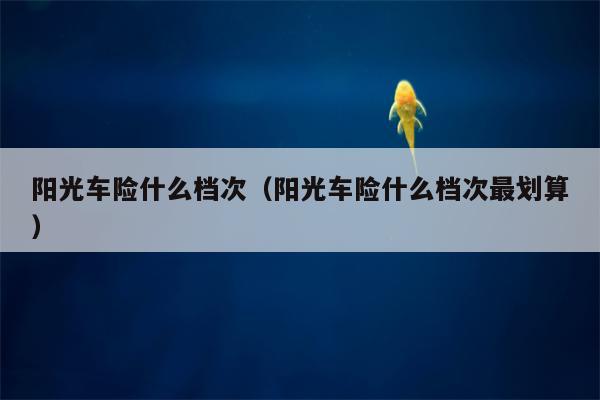 阳光车险什么档次（阳光车险什么档次最划算）