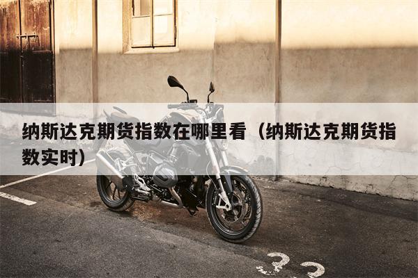 纳斯达克期货指数在哪里看（纳斯达克期货指数实时）