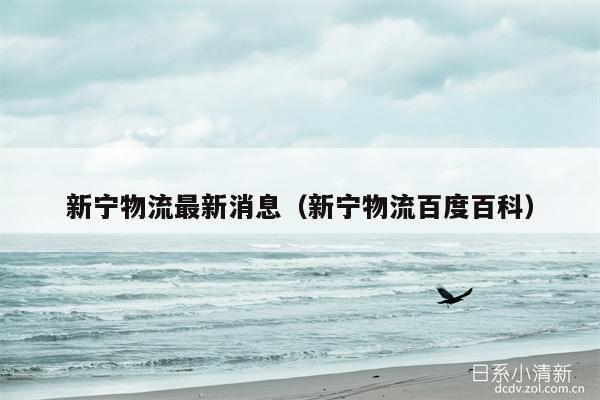 新宁物流最新消息（新宁物流百度百科）