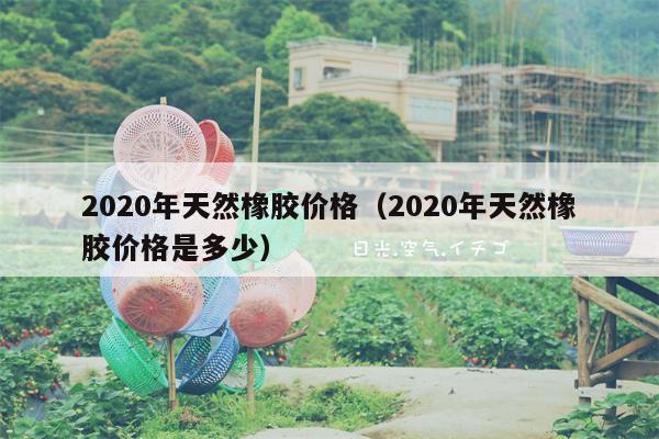 2020年天然橡胶价格（2020年天然橡胶价格是多少）