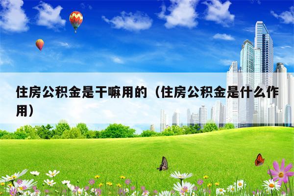 住房公积金是干嘛用的（住房公积金是什么作用）
