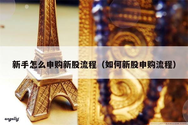 新手怎么申购新股流程（如何新股申购流程）