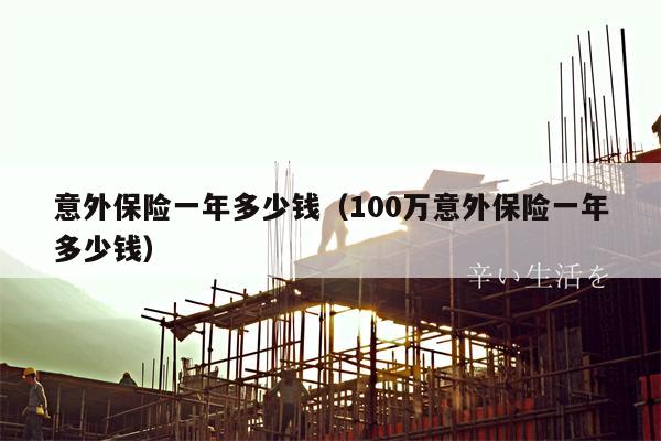 意外保险一年多少钱（100万意外保险一年多少钱）