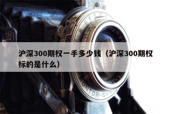 沪深300期权一手多少钱（沪深300期权标的是什么）