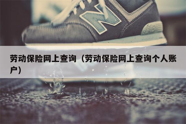 劳动保险网上查询（劳动保险网上查询个人账户）