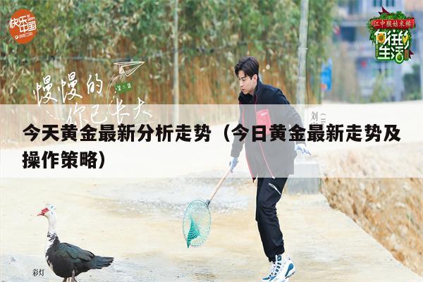 今天黄金最新分析走势（今日黄金最新走势及操作策略）