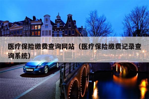 医疗保险缴费查询网站（医疗保险缴费记录查询系统）