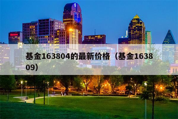 基金163804的最新价格（基金163809）