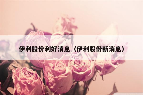 伊利股份利好消息（伊利股份新消息）