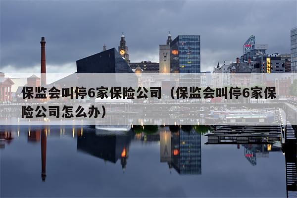 保监会叫停6家保险公司（保监会叫停6家保险公司怎么办）