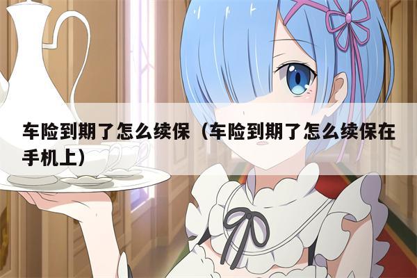 车险到期了怎么续保（车险到期了怎么续保在手机上）