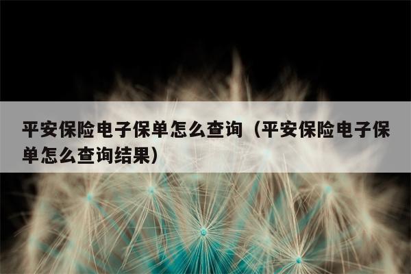 平安保险电子保单怎么查询（平安保险电子保单怎么查询结果）