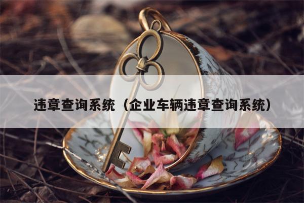 违章查询系统（企业车辆违章查询系统）