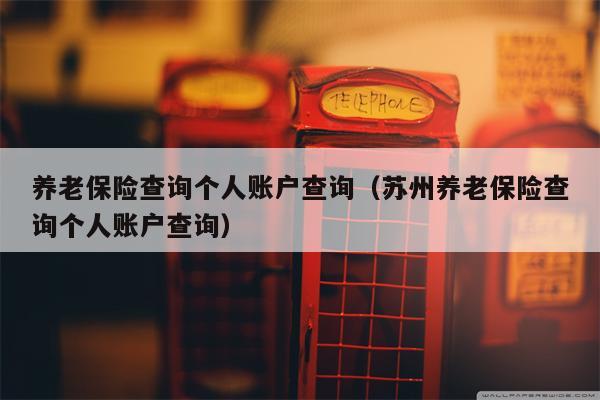 养老保险查询个人账户查询（苏州养老保险查询个人账户查询）