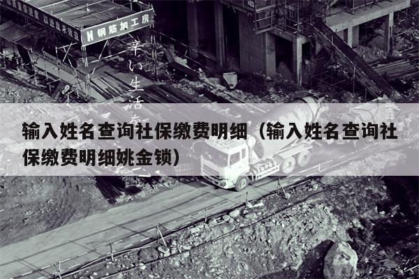 输入姓名查询社保缴费明细（输入姓名查询社保缴费明细姚金锁）
