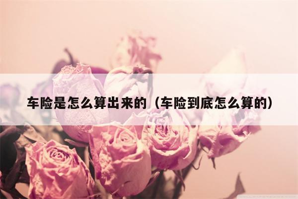 车险是怎么算出来的（车险到底怎么算的）