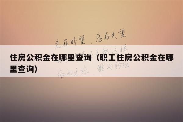 住房公积金在哪里查询（职工住房公积金在哪里查询）