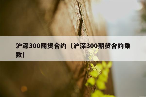 沪深300期货合约（沪深300期货合约乘数）