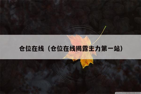 仓位在线（仓位在线揭露主力第一站）