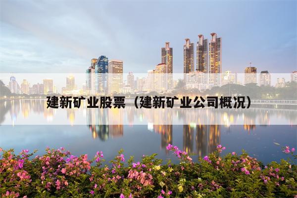 建新矿业股票（建新矿业公司概况）