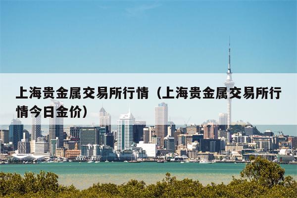 上海贵金属交易所行情（上海贵金属交易所行情今日金价）