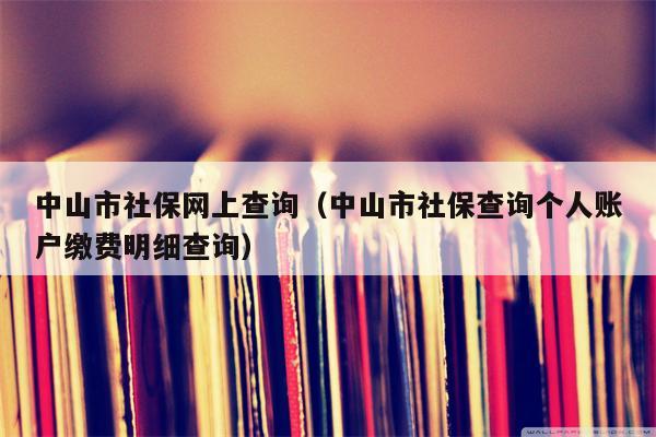 中山市社保网上查询（中山市社保查询个人账户缴费明细查询）