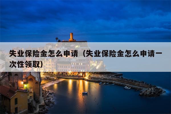 失业保险金怎么申请（失业保险金怎么申请一次性领取）