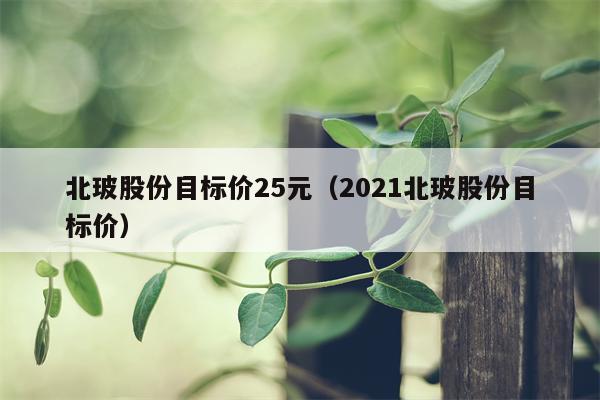 北玻股份目标价25元（2021北玻股份目标价）