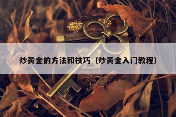炒黄金的方法和技巧（炒黄金入门教程）